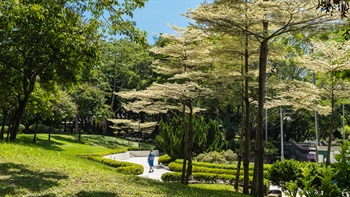 The intertwining footpath is lined with different forms of trees and shrubs in raised planters. A combination of shrubs and trees such as <em>Terminalia mantaly</em>, contributes a variety of colour, texture, and sizes in the landscape scenery.